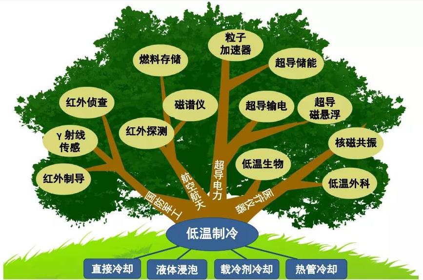 20211216/61bae241c3b97.jpg 1.jpg