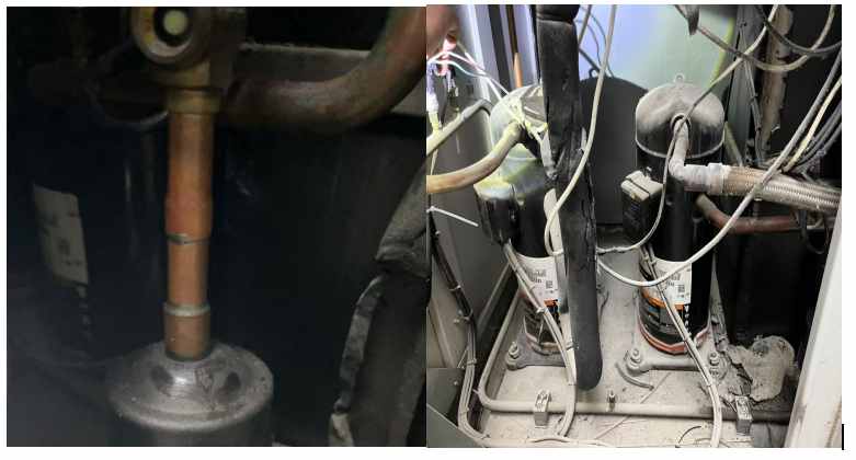 20260129/697b29f453dff.jpg 圖4.jpg